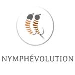 Nymphévolution